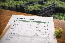 paysagiste prix devis belgique landscape designer price brussels (1).webp