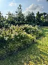 IMG_1675.webp